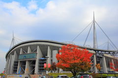 豊田スタジアム