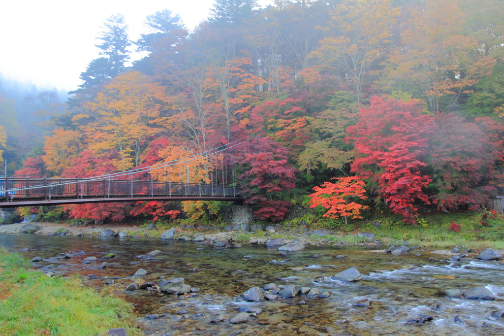 紅の吊り橋