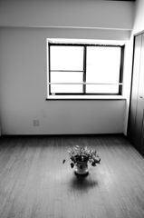さようならＭＹROOM