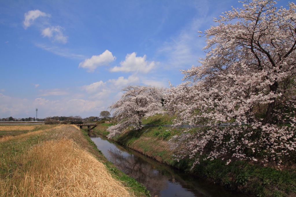 穏やか