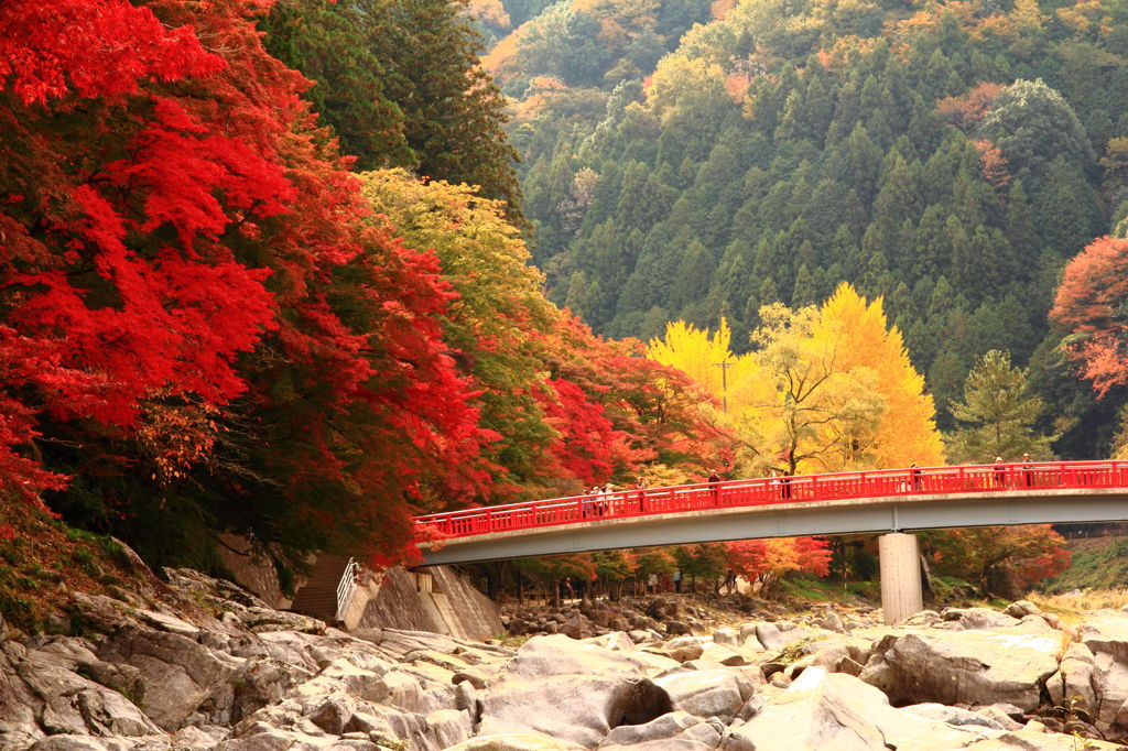 秋色の待月橋