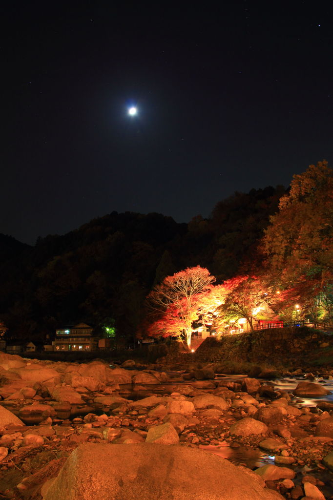 紅葉ライトアップと月
