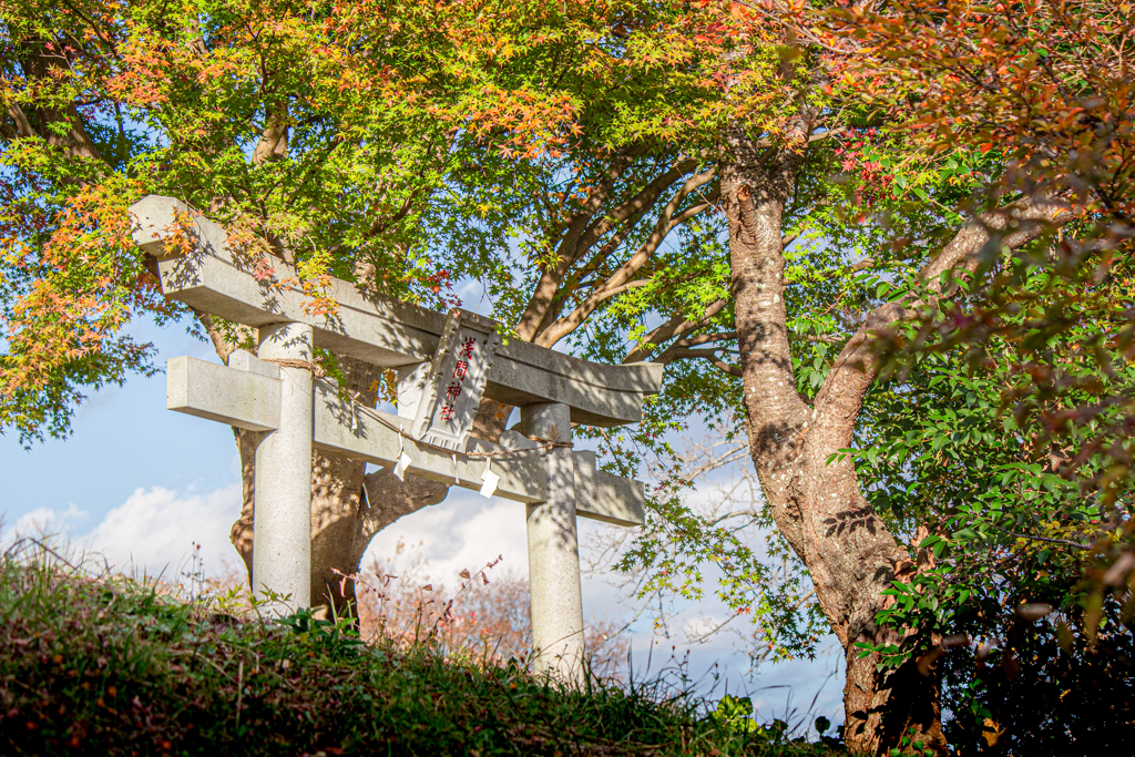 小春の日和の浅間鳥居