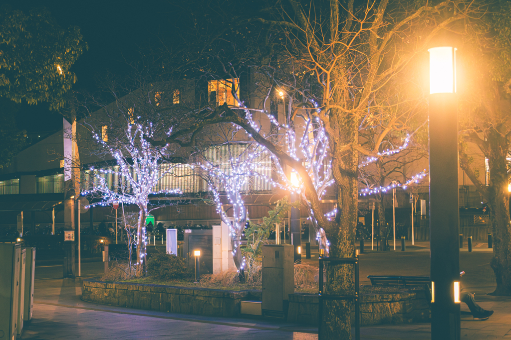 地方の小さい駅舎のささやかなイルミネーション