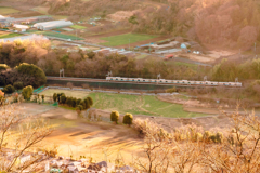 西日の小田急線