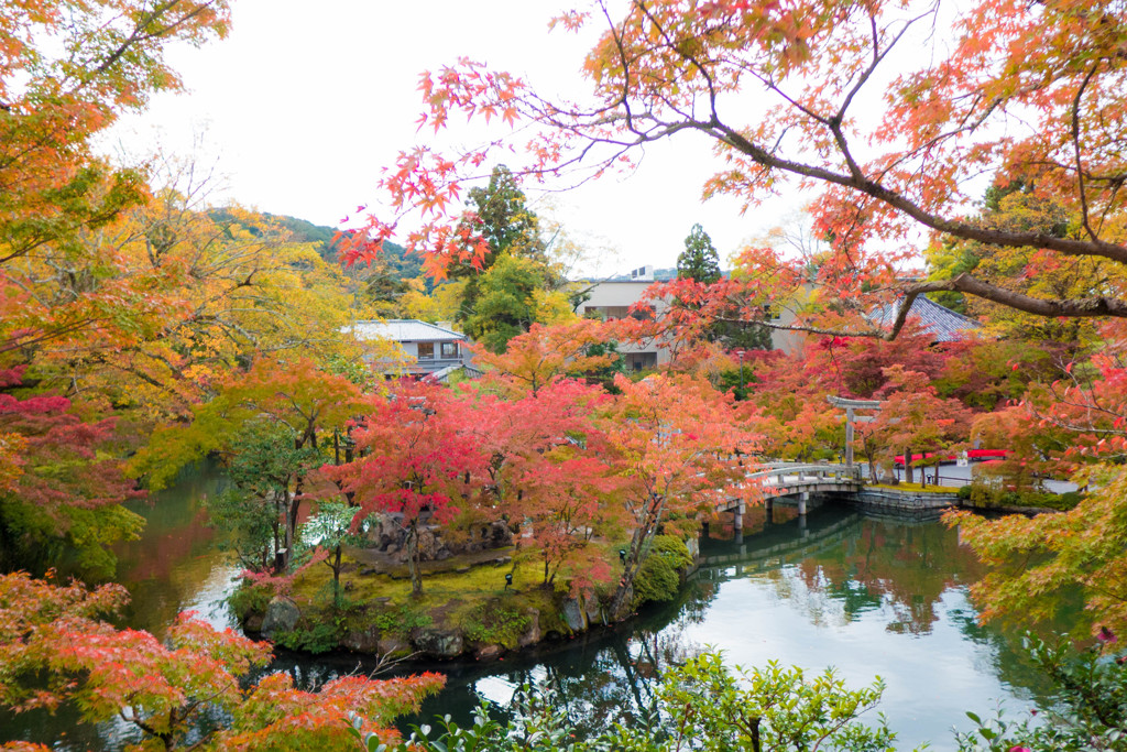 永観堂禅林寺の紅葉