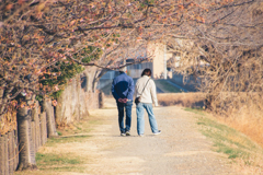 河津ほころぶ散歩道