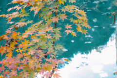 濃いも薄いも数ある中に