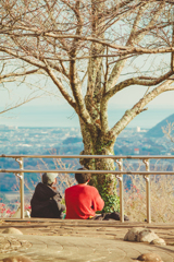 桜の季節を思い馳せ