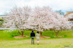 いつも毎年この場所で・・・