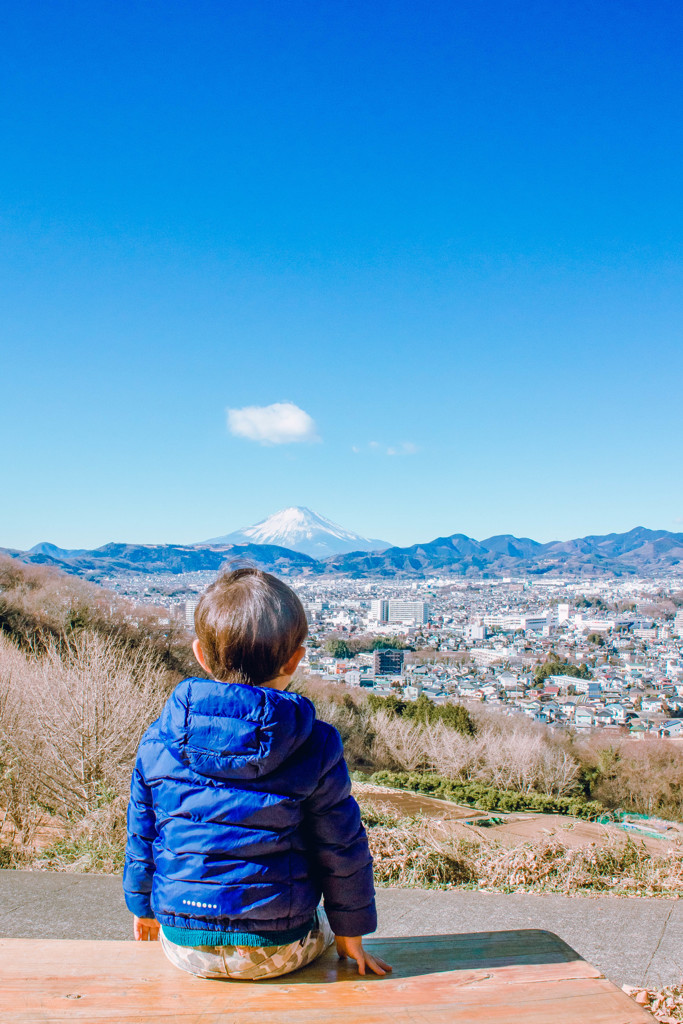 初富士と漢になるであろう背中