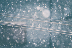 粉雪 ねえ 心まで白く染められたなら