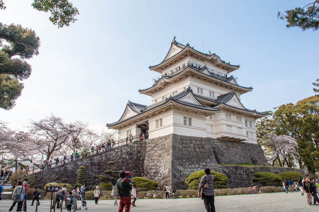 春の小田原城