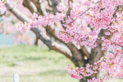 もう少しだけ、もう少しだけ