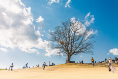 憩う場所、集う人々