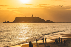 黄金色の湘南海岸