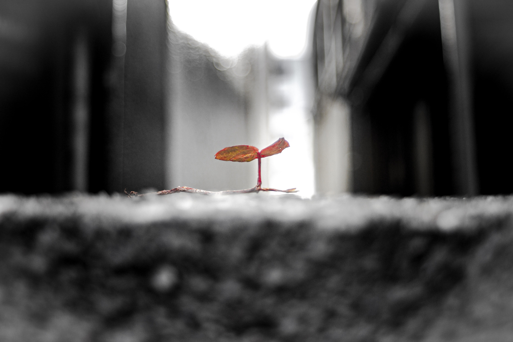 ビルとビルの間にて