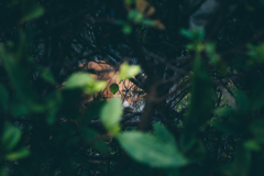 めっちゃ見られてた