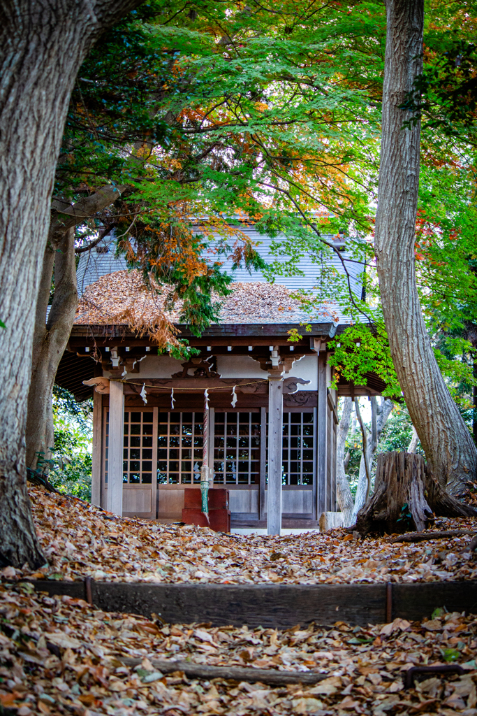 落ち葉が積もりし浅間のお社