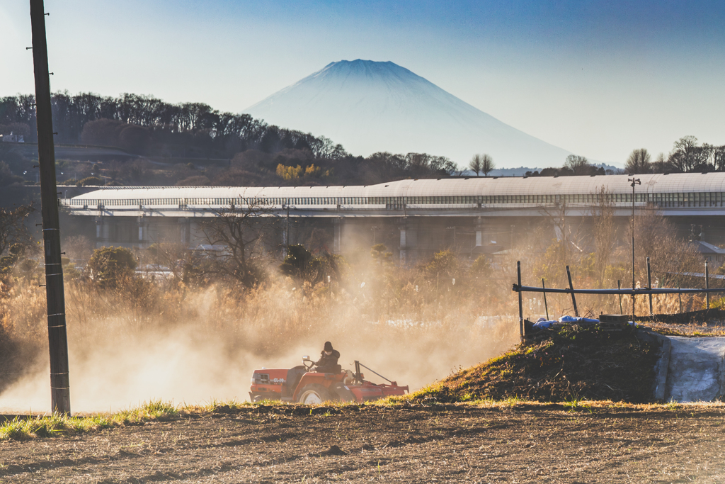 春を迎える準備