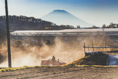 春を迎える準備