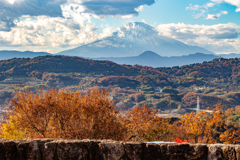白髪交じりの富士さん