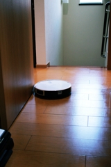 行ってきます~掃除はまかせたYO!