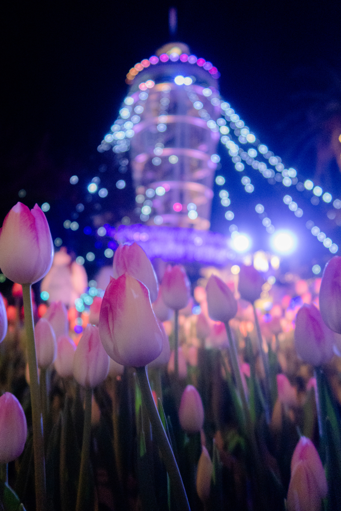 季節はずれの妙