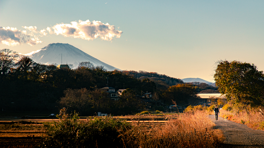 西日差す散歩道
