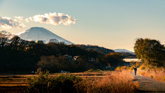 西日差す散歩道