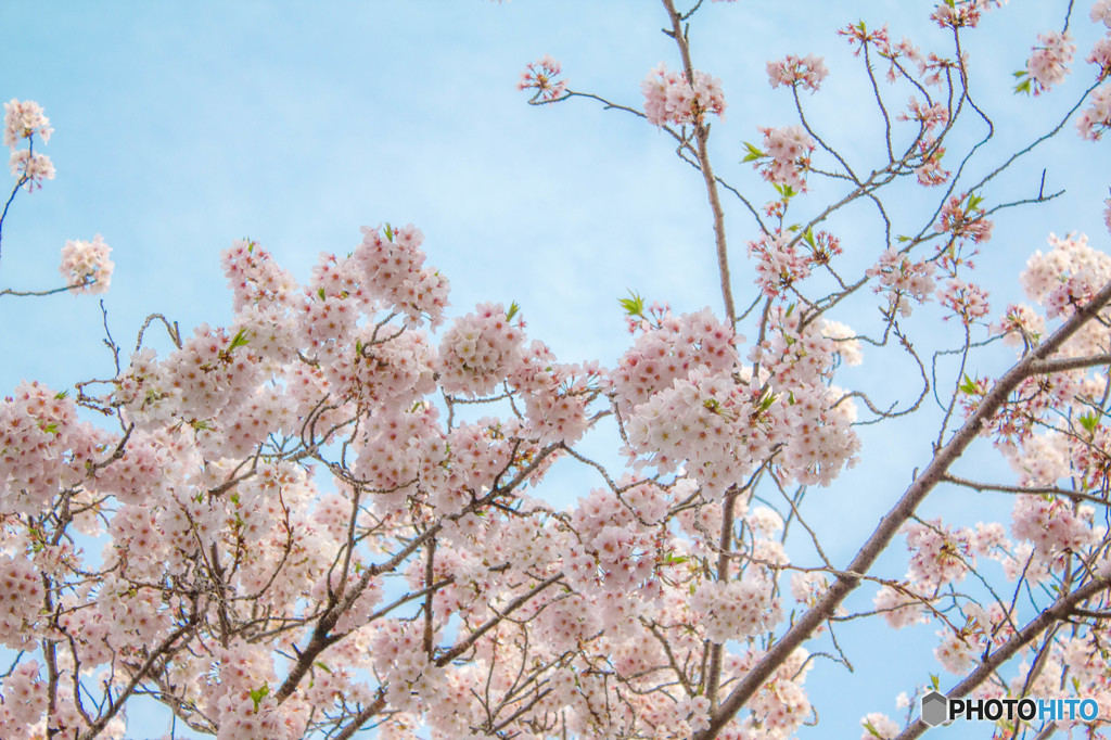 やっと青空