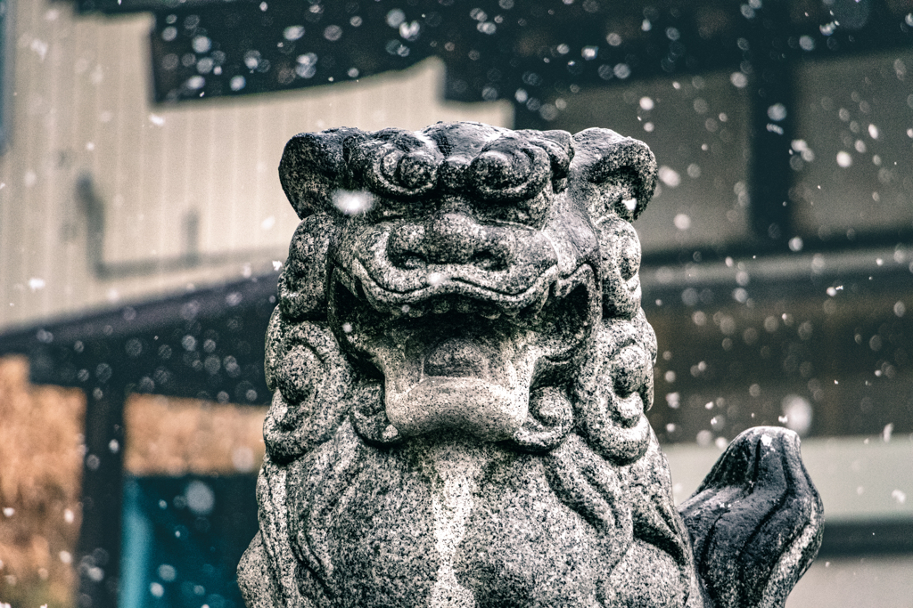 寒いんじゃ～！