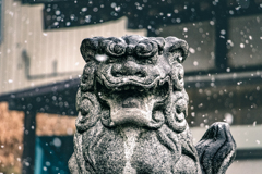 寒いんじゃ～！