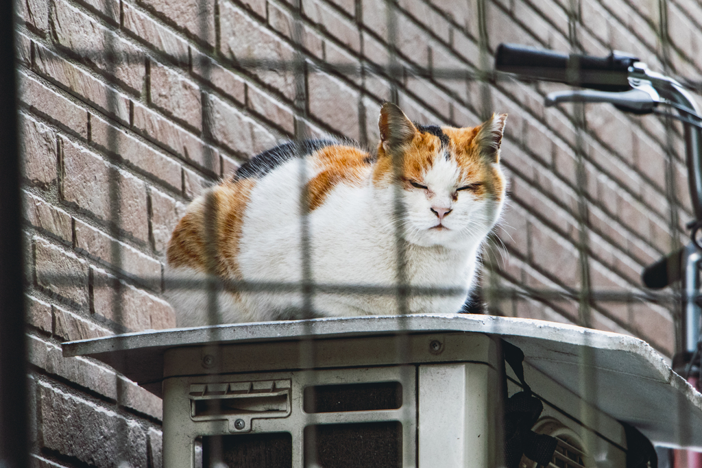 黙って立ち去られよ