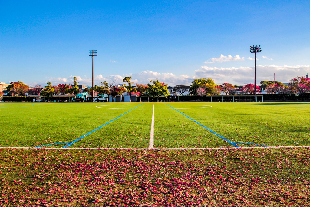 サッカーコートの秋