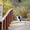 何してんの！早く来いよ！！