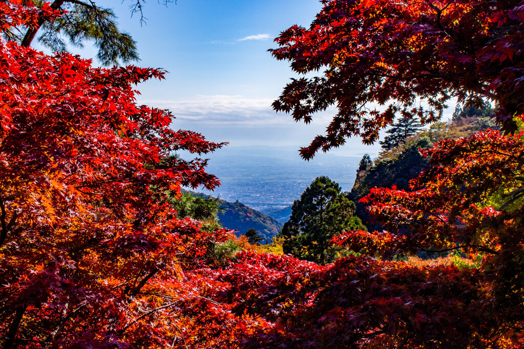 阿夫利神社下社からの遠景