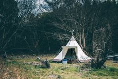 スナフキンのテント見つけた！