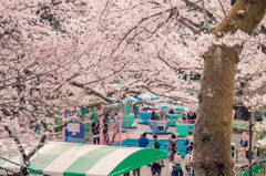 小田原城址公園の遊園地