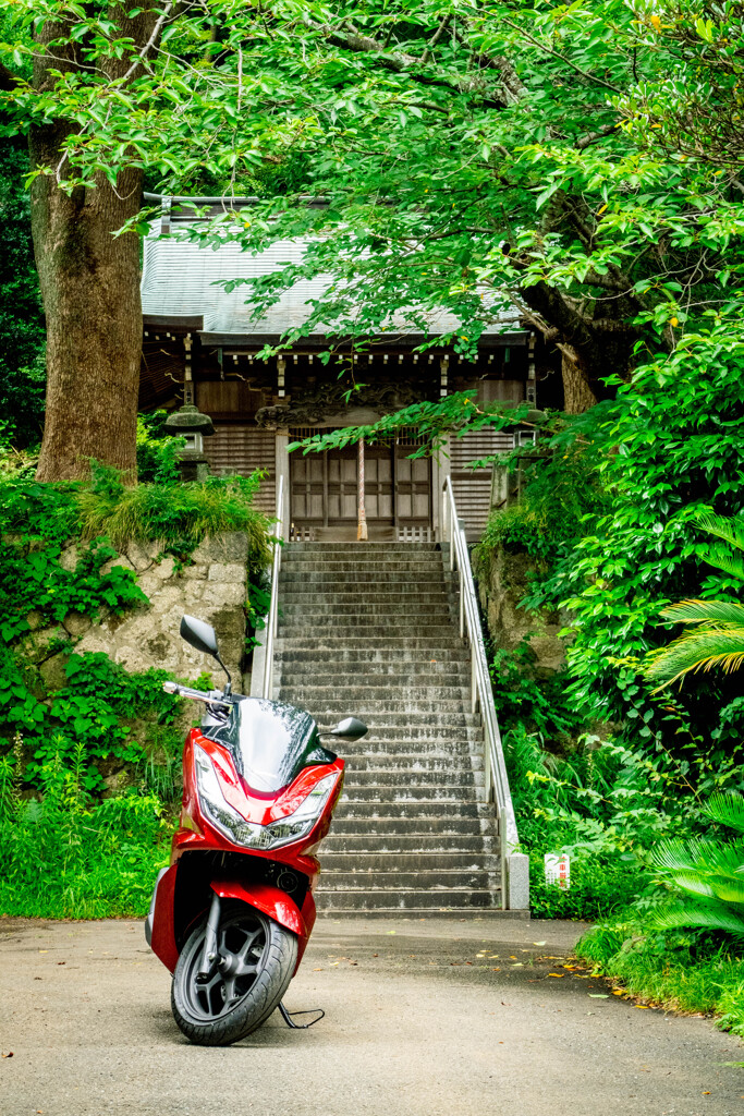 住宅地にひっそりとあるこういう神社が結構好きです