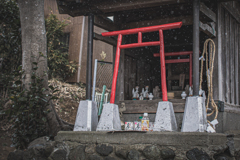 狐様 見つめる先の 細雪