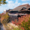 続・秋の清水寺