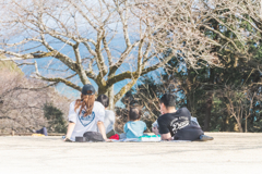 一家団欒うららかに