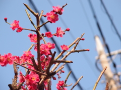 春間近