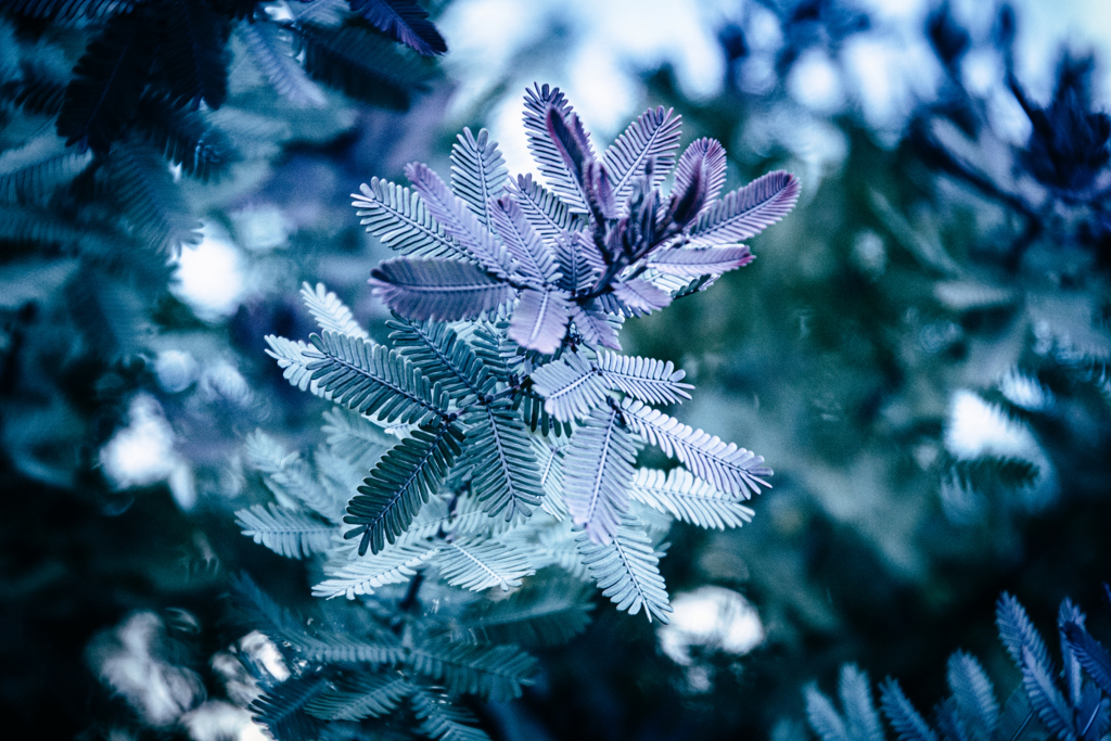 作り物みたいな自然の造形