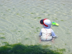日焼け対策ばっちりですね。
