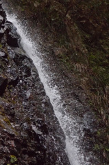 ミルクが湧く岩