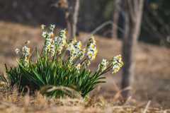 自分の見せ方、活きる道