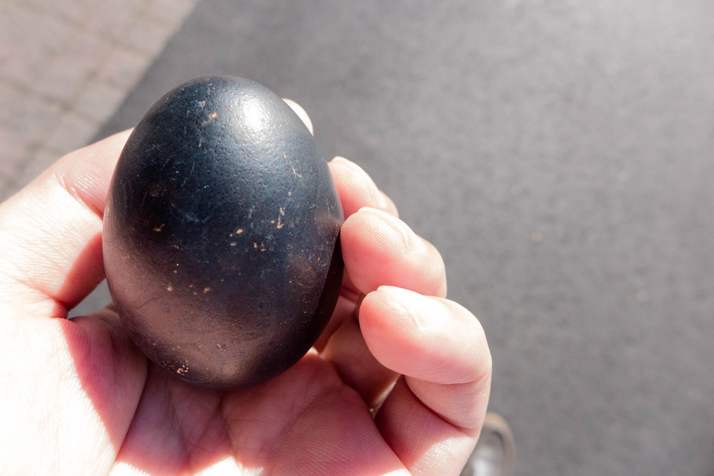 Black eggs