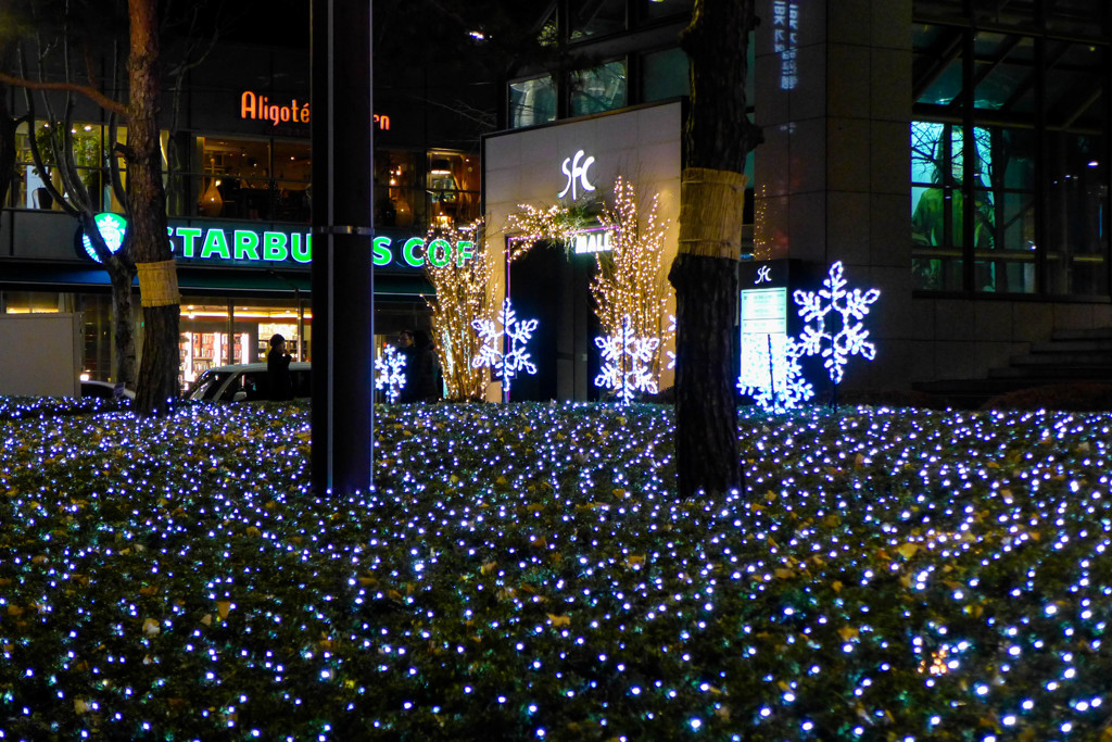 ソウルのクリスマス